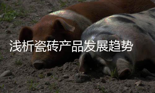 瓷砖产品现在也非常流行