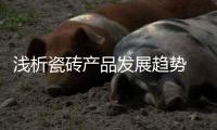 浅析瓷砖产品发展趋势 国内设计稍显薄弱
