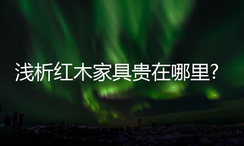美学等特色的浅析解说