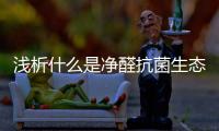 浅析什么是净醛抗菌生态板