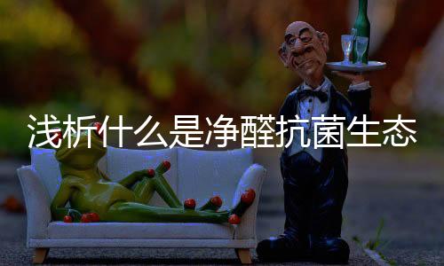 态板甲醛净化效率高达79.9%
