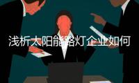 浅析太阳能路灯企业如何实现可持续发展?