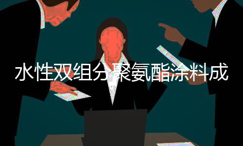 耐腐蚀性
�、展方近十年来