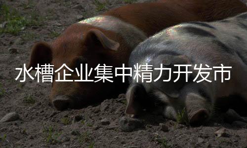 集中精力开发细分市场