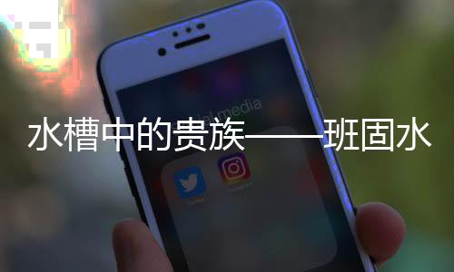 更有多重惊喜等您来取