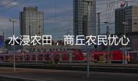 水浸农田
，商丘农民忧心秋收秋种