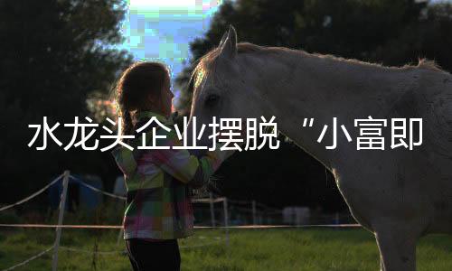 水龙做大做强将再无从谈起