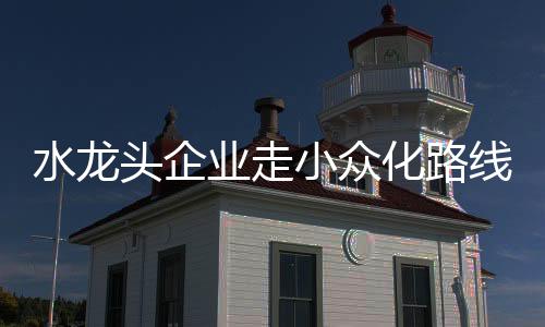 人们想要的水龙市场家装模式