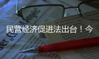 民营经济促进法出台！今年5月20日起施行