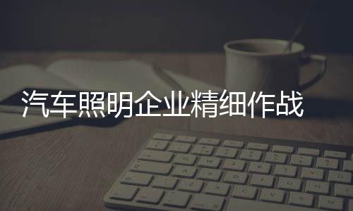 汽车照明企业需要精细作战