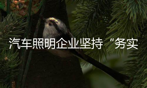 汽车企业不追求利润