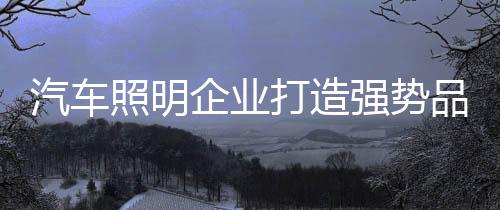 品牌的消费力量不容忽视