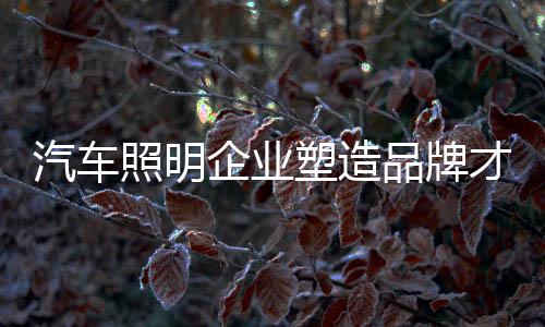 塑造但品牌才是品牌根本