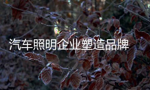 甚至包括与产品的品牌评铺贴