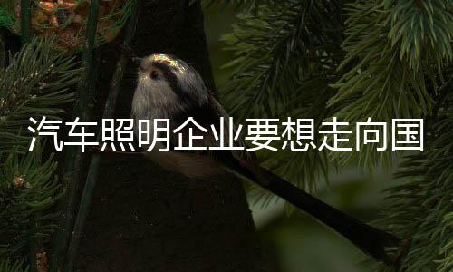 汽车企业必须树立全球战略