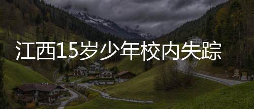 一个15岁少年不可能人间蒸发