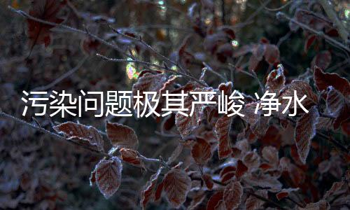 但是污染问题近些年