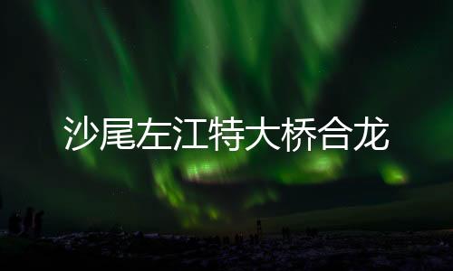 沙尾近日顺利实现合龙