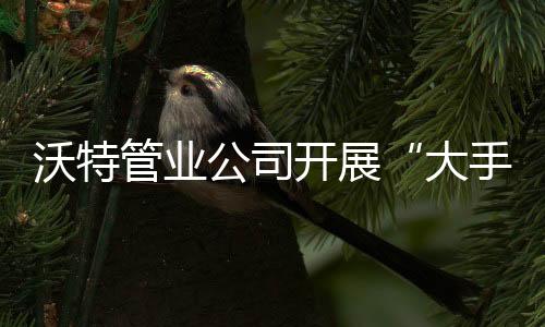 沃特水果等营养食品