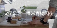 沈足最后一棵常青树因伤退役 李毅男辅佐杨玉敏