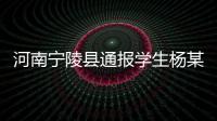 河南宁陵县通报学生杨某某坠亡事件：未发现欺凌情况