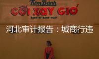 河北审计报告：城商行违规放贷406亿
，344辆公务用车被违规租赁