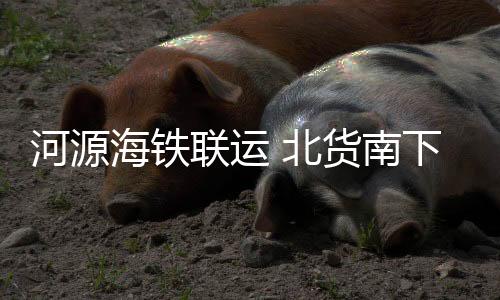 ”龙川县委书记刘力表示