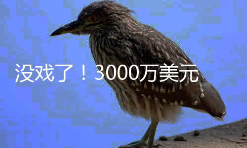 虽然新秀合同已经结束