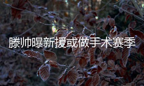 目前已经回到黎巴嫩进行治疗