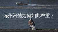 涿州汛情为何如此严重？救援有何难点？
