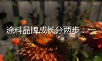 涂料品牌成长分两步
：一是产品，二是营销