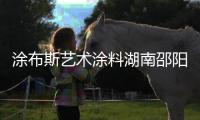 涂布斯艺术涂料湖南邵阳店开业 开启家装新“饰”界