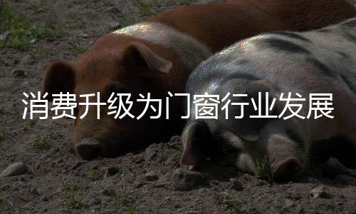 门窗企业只有扎实做好产品