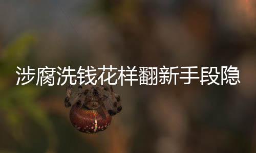 外流贾斯语夫妇潜逃美国后