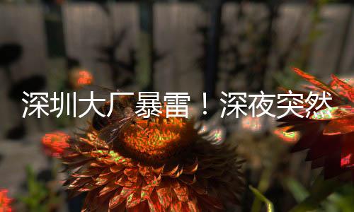 将近50万台充电宝出现问题