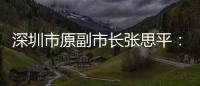 深圳市原副市长张思平：国有企业要有所为有所不为