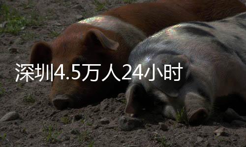进入24小时值守备战状态