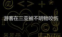 游客在三亚被不明物咬伤后身亡，官方通报：已成立调查组
