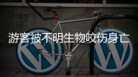 游客被不明生物咬伤身亡
，三亚通报救治详情