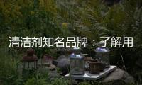 清洁剂知名品牌	：了解用户需求 注重市场反馈