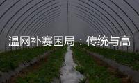温网补赛困局�：传统与高温下的赛程危机