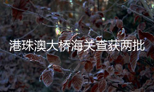 运输、桥海物品进出境的获两