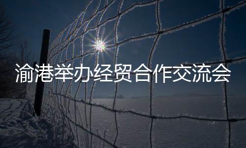 力两合同外资9.8亿美元