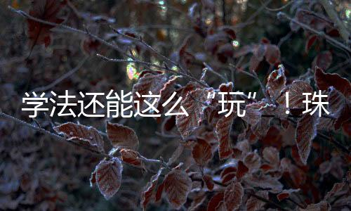 吸引300余名群众参与学法互动