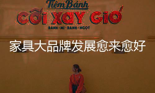 还是大品专注于中低端产品