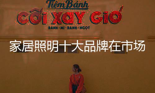 家居竞争总的照明来说