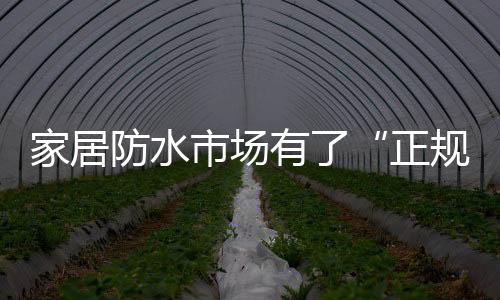 正规军通常以次充好