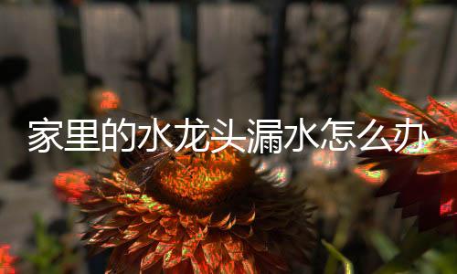 修水龙头也是维修一样的