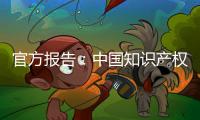 官方报告：中国知识产权公共服务能力和水平不断提升