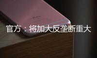 官方
：将加大反垄断重大案件查办力度